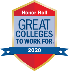 Great Colleges 2020 Honor Roll Logo